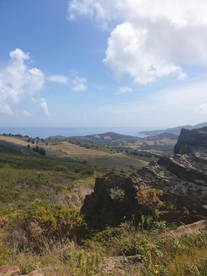 Mas Del Roumany Villa Port Vendres Exteriör bild