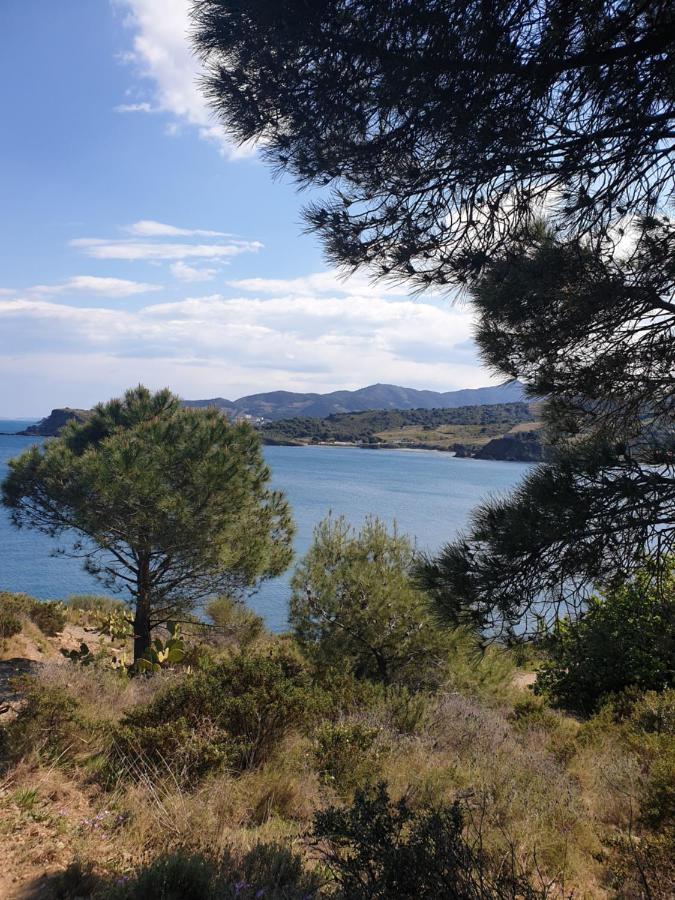 Mas Del Roumany Villa Port Vendres Exteriör bild