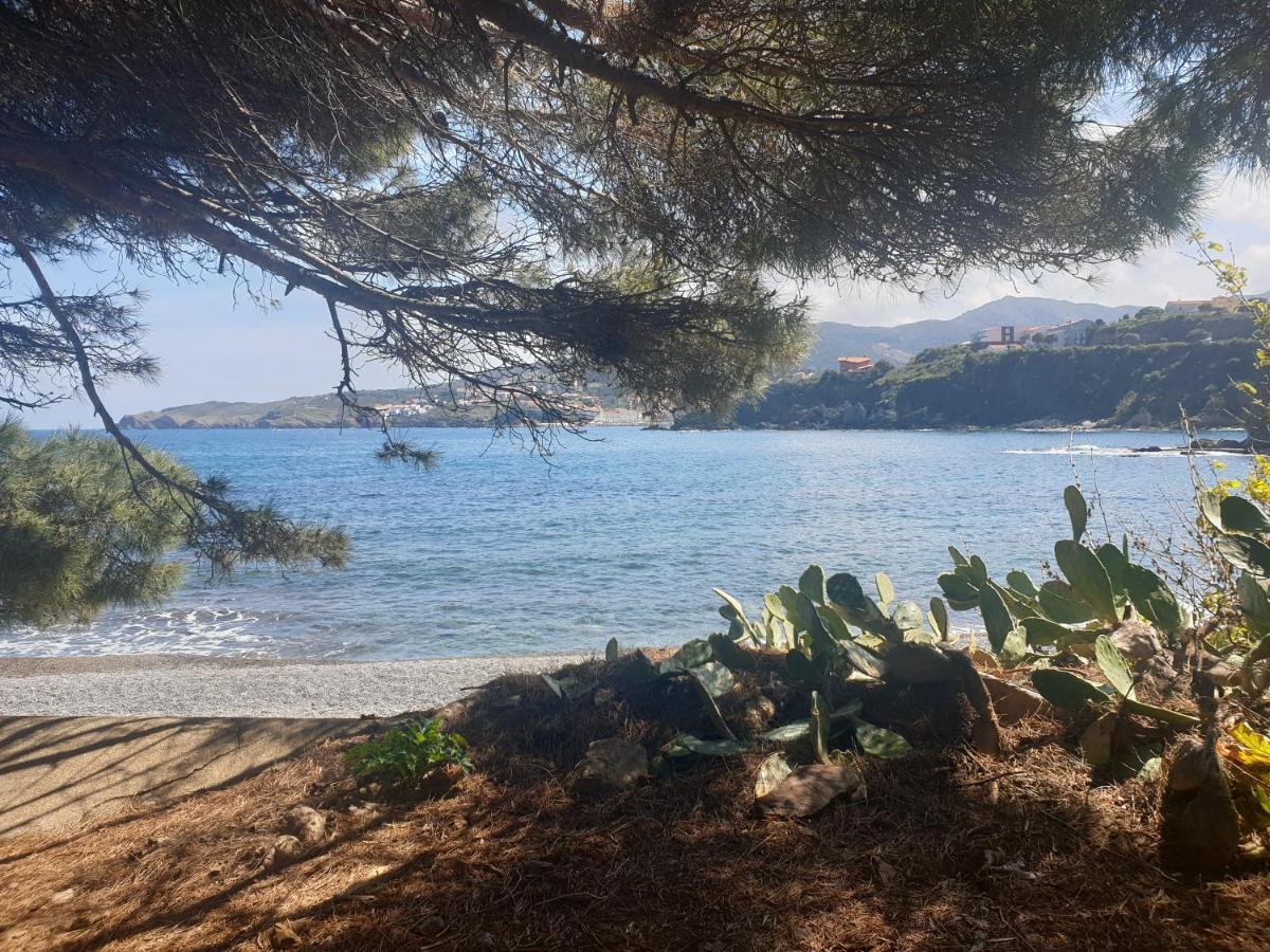 Mas Del Roumany Villa Port Vendres Exteriör bild