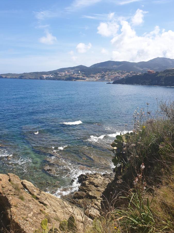 Mas Del Roumany Villa Port Vendres Exteriör bild