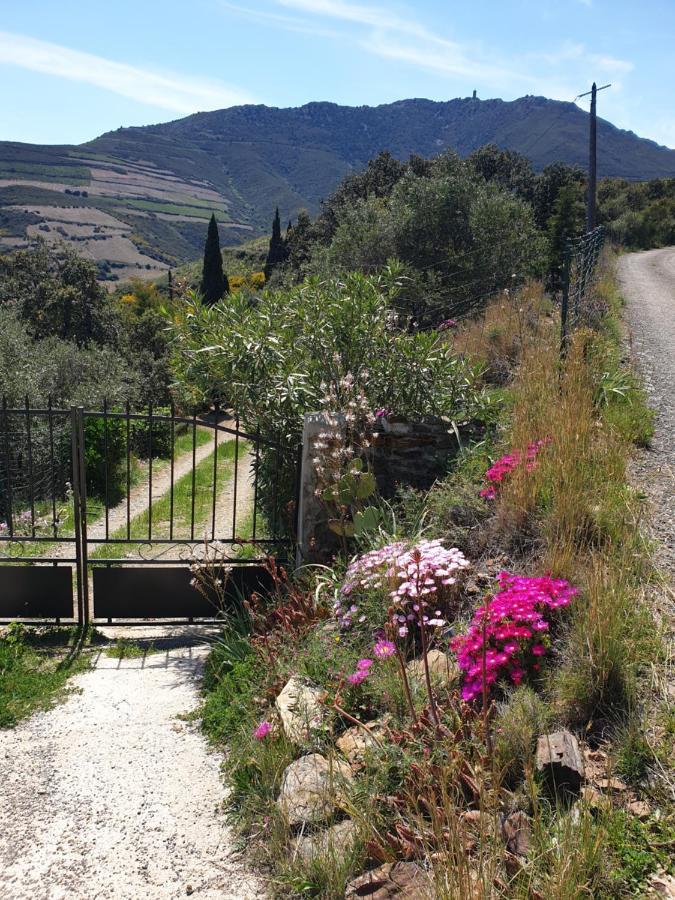 Mas Del Roumany Villa Port Vendres Exteriör bild