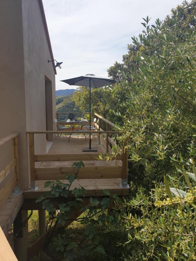 Mas Del Roumany Villa Port Vendres Exteriör bild