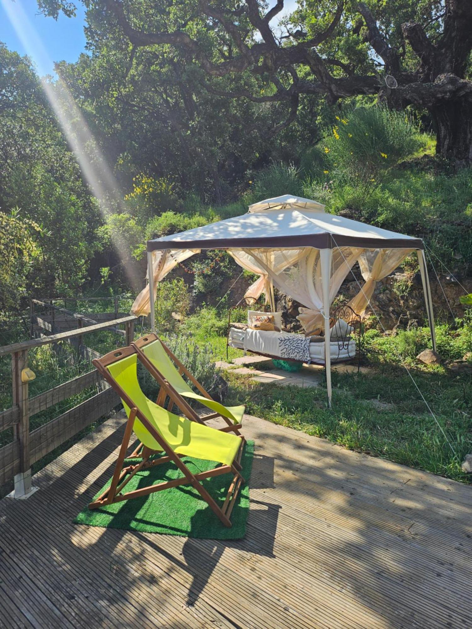 Mas Del Roumany Villa Port Vendres Exteriör bild